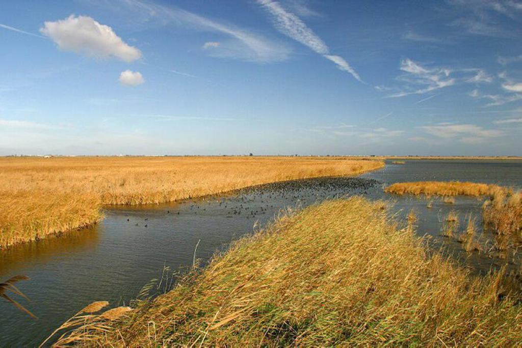 Mi Apartamento En El Delta Del Ebro Deltebre Exterior photo