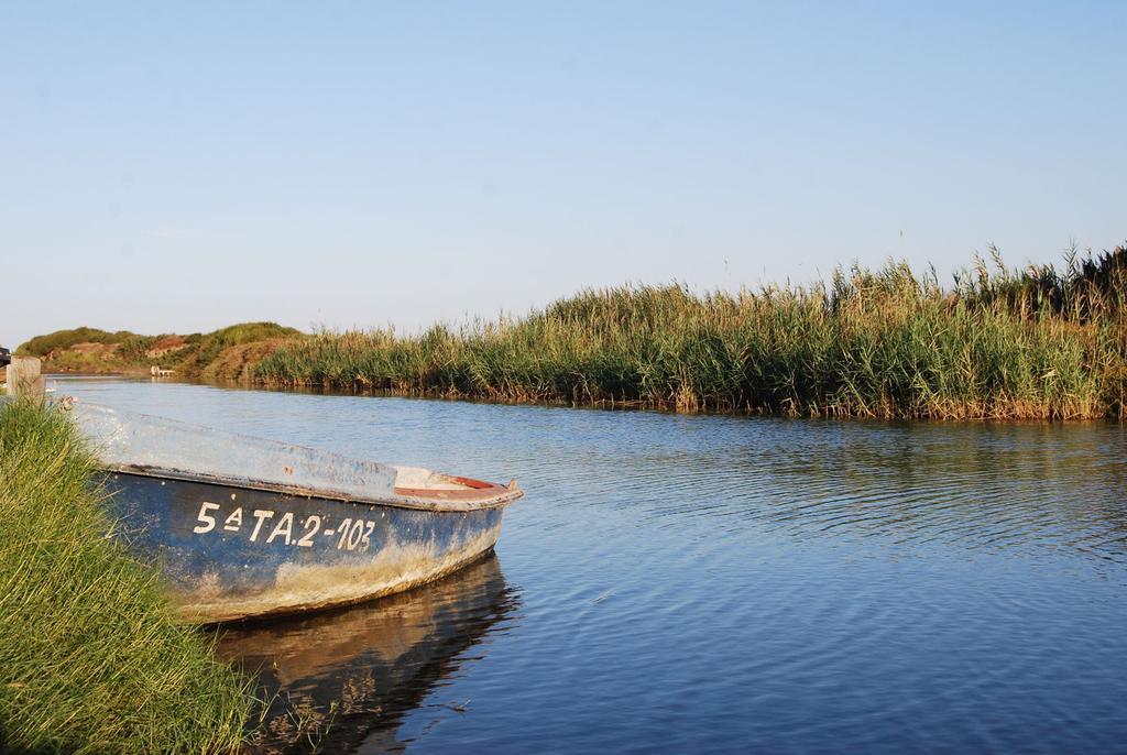 Mi Apartamento En El Delta Del Ebro Deltebre Exterior photo