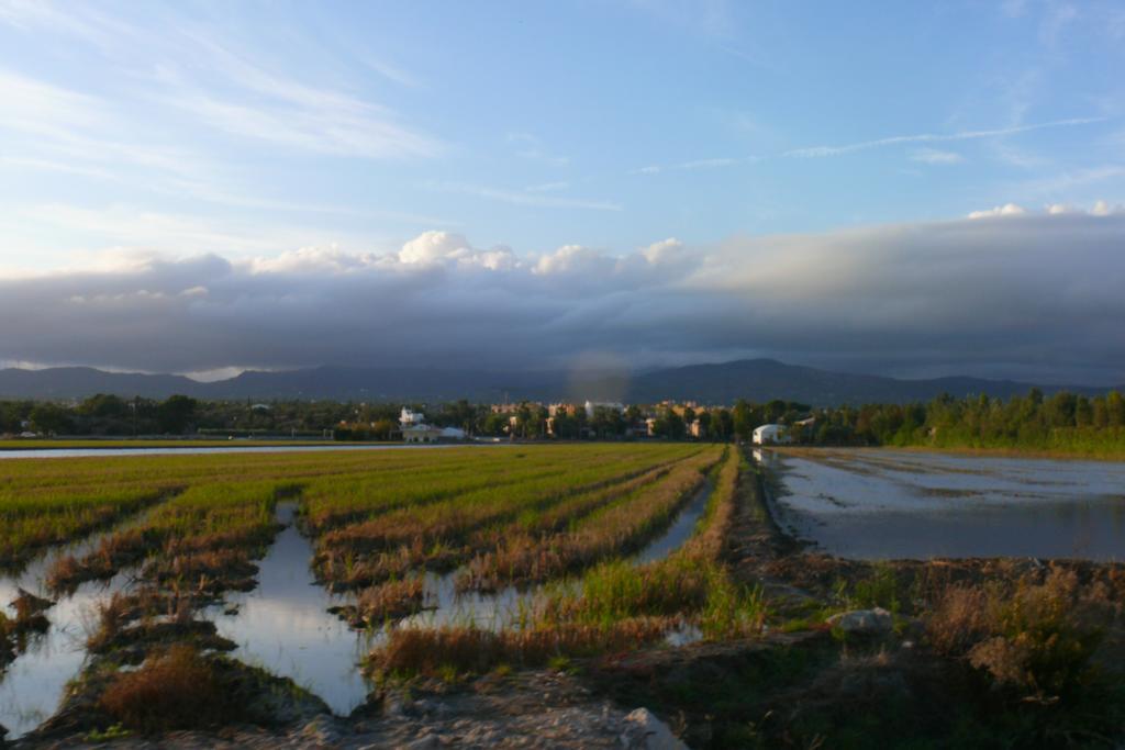 Mi Apartamento En El Delta Del Ebro Deltebre Exterior photo